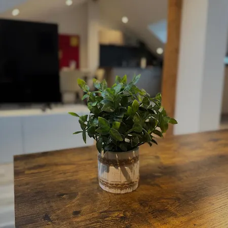 Dachgeschosswohnung Im Herzen Von Appartement Ravensbourg